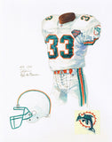 Miami Dolphins 1994