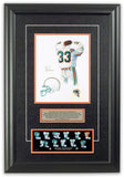 Miami Dolphins 1994