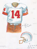 Tampa Bay Buccaneers 1993 - Heritage Sports Art - original watercolor artwork - 2